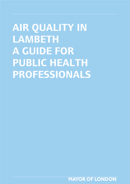 Air Quality in Lambeth a Guide for Public Health