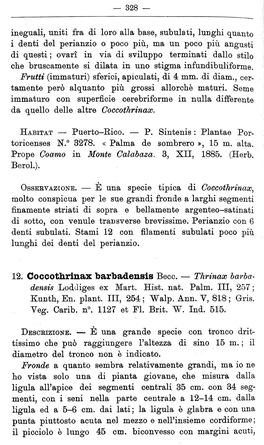 12. Coccothrinax Barbadensis Becc. - Thrinax Barba­ Densis L()Djiges Ex Mart