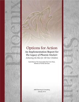 Options for Action: an Implementation Report