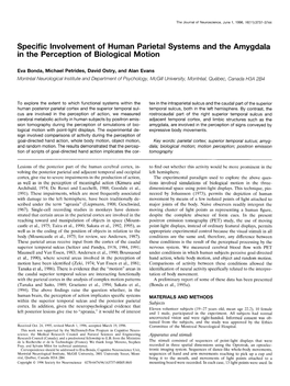 Specific Involvement of Human Parietal Systems and the Amygdala in the Perception of Biological Motion