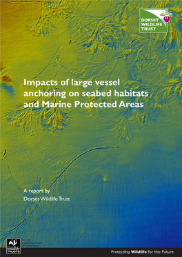 Impacts of Large Vessel Anchoring on Seabed Habitats and Marine Protected Areas