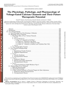 The Physiology, Pathology, and Pharmacology of Voltage-Gated Calcium Channels and Their Future Therapeutic Potential