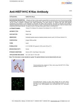 Anti-HIST1H1C K16ac Antibody