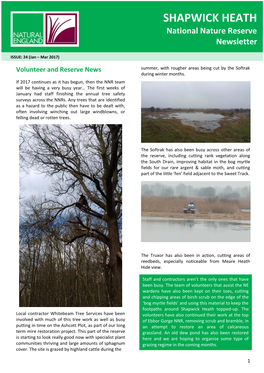 SHAPWICK HEATH Shapwicknational Natureheath Reserve National Nature Reservenewsletter Newsletter