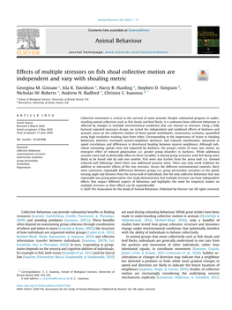 Effects of Multiple Stressors on Fish Shoal Collective Motion Are