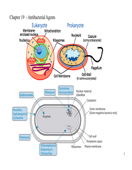 Chapter 19 - Antibacterial Agents