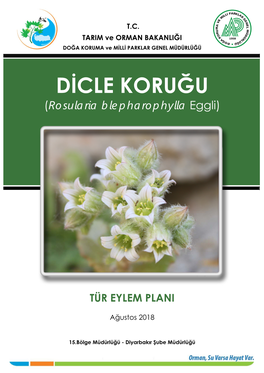 Dicle Koruğu (Rosularia Blepharophylla) Tür Eylem Planının Başarısı, Insan Faaliyetlerinin Sürdürülebilir Bir Ilişki Içerisinde Olmasına Bağlı