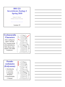 BIO 221 Invertebrate Zoology I Spring 2010 Cycloneuralia Characters Pseudo- Coelomates (Ecdysozoa)