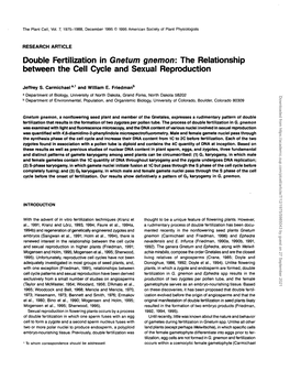 Double Fertilization in Gnetum Gnemon: the Reationship Between the Cell Cycle and Sexual Reproduction