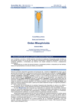 Orden MISOPHRIOIDA Manual