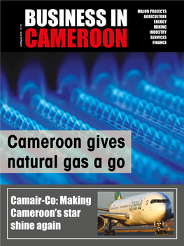 Cameroon Gives Natural Gas a Go