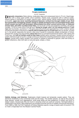 SPARIDAE Porgies (Seabreams) by K.E