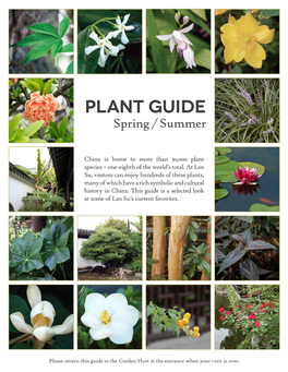 Plant Guide Spring / Summer