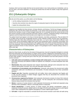 Chapter 23 – Protists