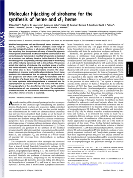 Molecular Hijacking of Siroheme for the Synthesis of Heme and D1 Heme