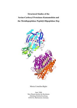 Structural Studies of the Serine-Carboxyl Proteinase Kumamolisin and the Metallopeptidase Peptidyl-Dipeptidase Dcp