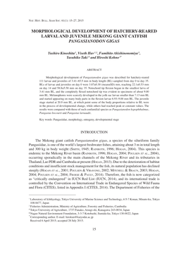 Morphological Development of Hatchery-Reared Larval and Juvenile Mekong Giant Catfish Pangasianodon Gigas