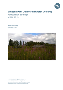 Simpson Park (Former Harworth Colliery) Remediation Strategy A098864 RS V6