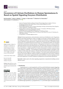 Occurrence of Calcium Oscillations in Human Spermatozoa Is Based on Spatial Signaling Enzymes Distribution