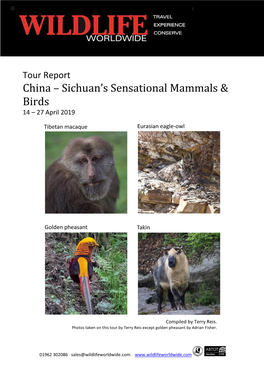 Tour Report China – Sichuan’S Sensational Mammals & Birds 14 – 27 April 2019