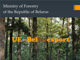 Ministry of Forestry of the Republic of Belarus