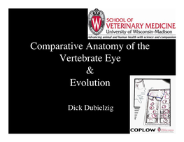 Comparative Anatomy of the Vertebrate Eye! &! Evolution