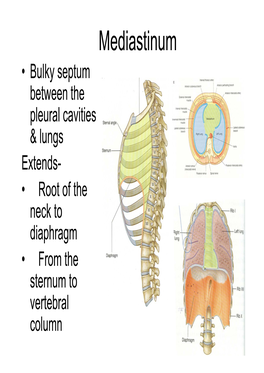 Superior Mediastinum.Pdf