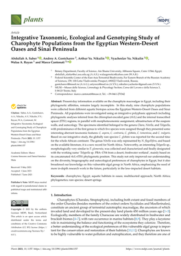 Integrative Taxonomic, Ecological and Genotyping Study of Charophyte Populations from the Egyptian Western-Desert Oases and Sinai Peninsula