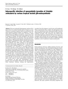 Interspecific Infection of Aposymbiotic Juveniles of Codakia Orbicularis By