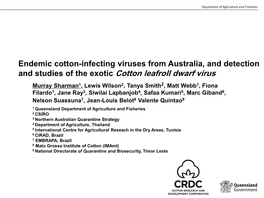 And Studies of the Exotic Cotton Leafroll Dwarf Virus