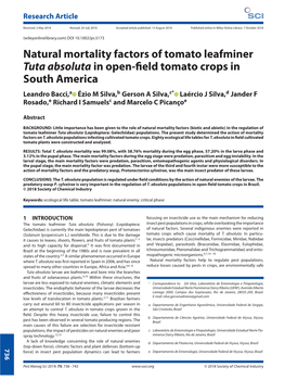 Natural Mortality Factors of Tomato Leafminer Tuta Absoluta in Open