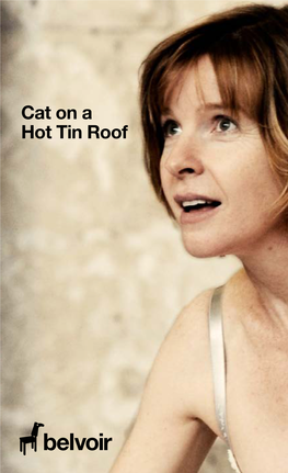 Cat on a Hot Tin Roof Belvoir Presents Cat on a Hot Tin Roof
