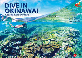 Dive in Okinawa!