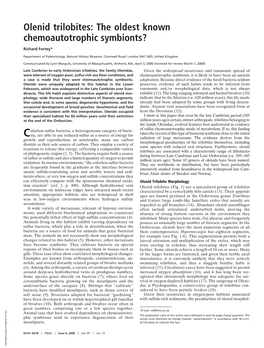 Olenid Trilobites: the Oldest Known Chemoautotrophic Symbionts?