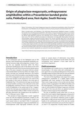 Origin of Plagioclase-Megacrystic, Orthopyroxene Amphibolites Within a Precambrian Banded Gneiss Suite, Flekkefjord Area,Vest-Agder, South Norway