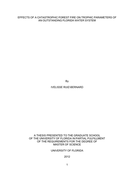 University of Florida Thesis Or Dissertation Formatting