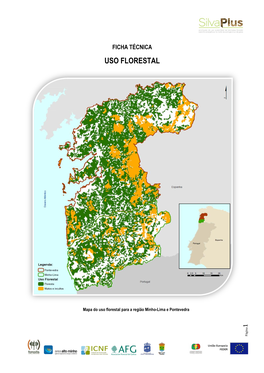 Ficha Técnica: Uso Florestal