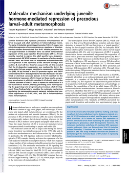 Molecular Mechanism Underlying Juvenile Hormone-Mediated Repression of Precocious Larval–Adult Metamorphosis