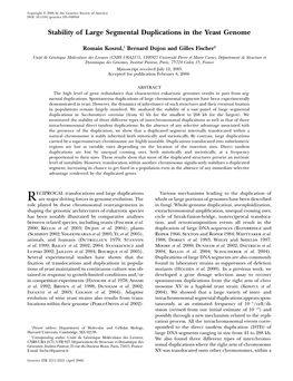 Stability of Large Segmental Duplications in the Yeast Genome