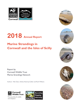 Marine Strandings in Cornwall and the Isles of Scilly