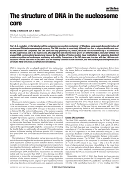 The Structure of DNA in the Nucleosome Core