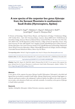 ﻿A New Species of the Carpenter Bee Genus Xylocopa from the Sarawat