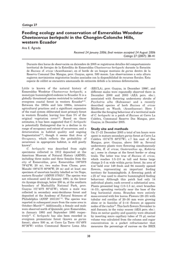 Feeding Ecology and Conservation of Esmeraldas Woodstar Chaetocercus Berlepschi in the Chongón-Colonche Hills, Western Ecuador Ana E