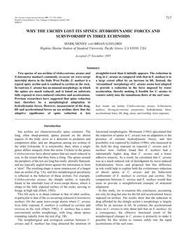 Why the Urchin Lost Its Spines: Hydrodynamic Forces and Survivorship in Three Echinoids