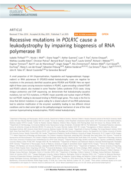 Recessive Mutations in POLR1C Cause a Leukodystrophy by Impairing Biogenesis of RNA Polymerase III