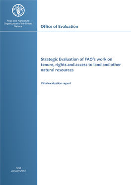 Strategic Evaluation of FAO's Work on Tenure, Rights and Access to Land and Other Natural Resources