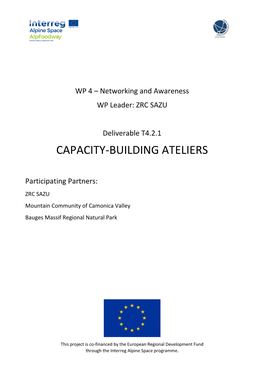 Capacity-Building Ateliers