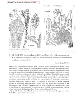 31. CROSSIDIUM Juratzka, Laubm.-Fl