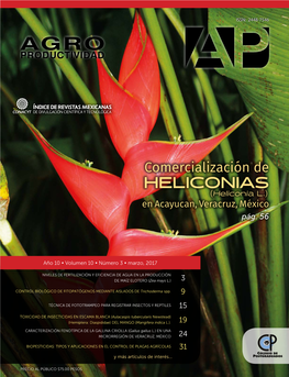 HELICONIAS (Heliconia L.) En Acayucan, Veracruz, México Pág