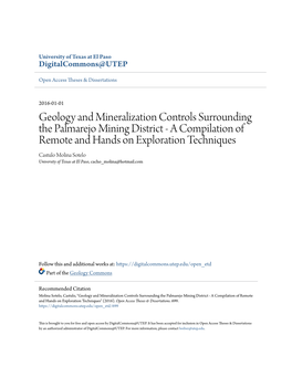 Geology and Mineralization Controls